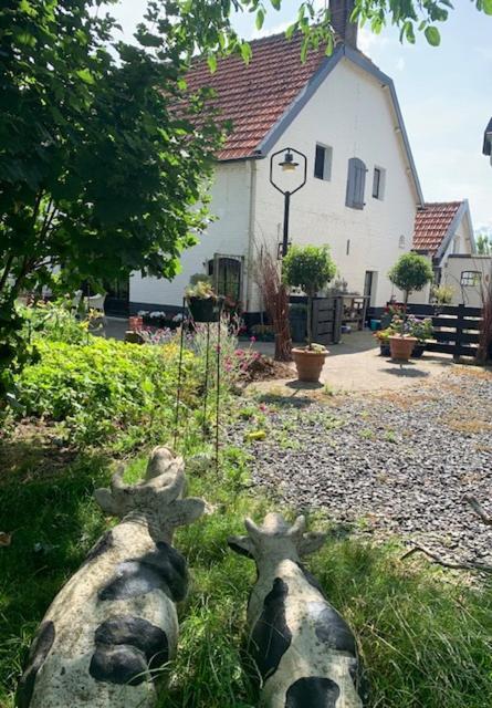 Atelier Onder De Notenboom Appeltern Kültér fotó